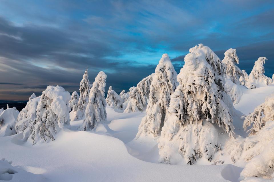  The mountain was given its name because of the natural forests of spruce that cover it