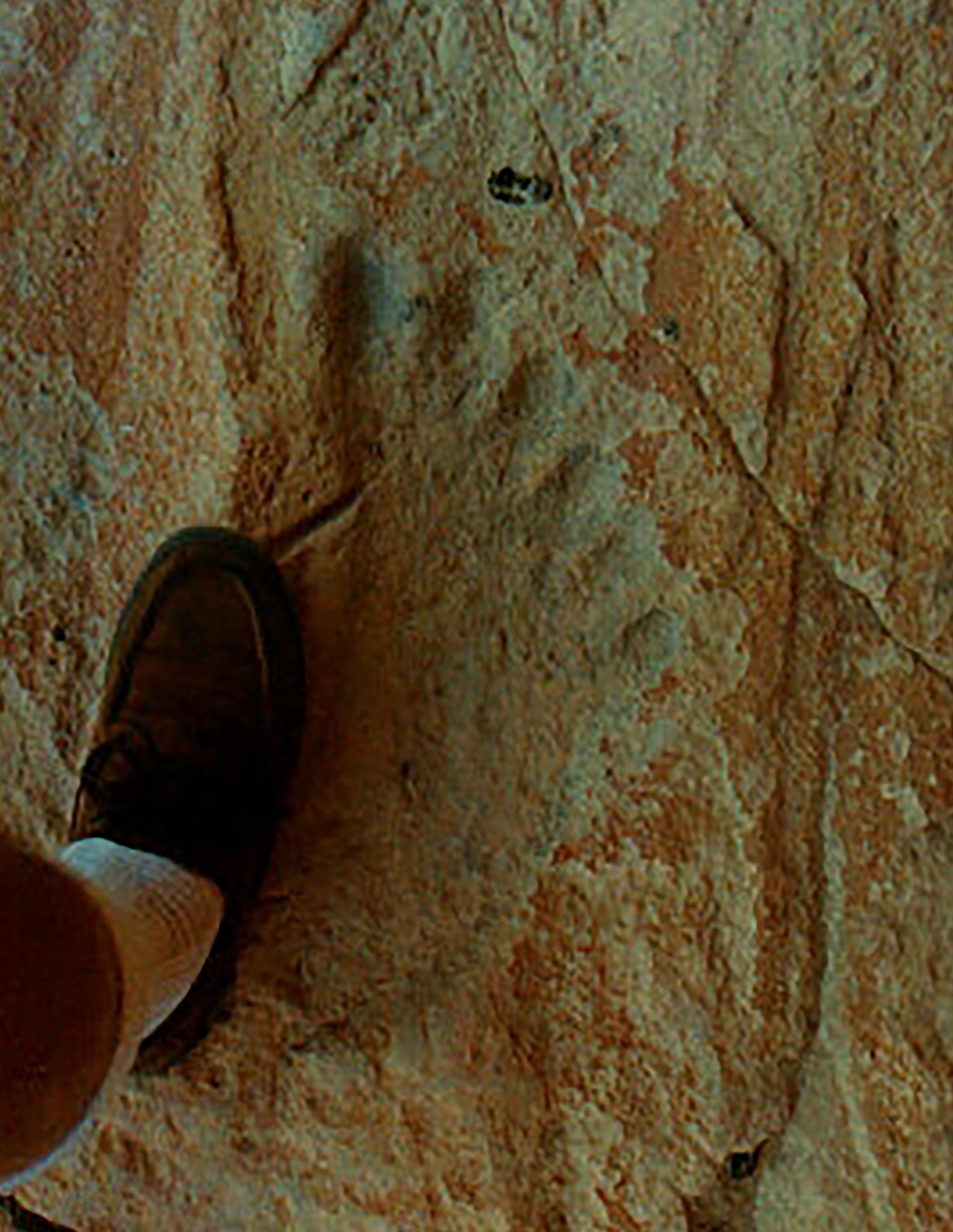 Big foot... a suspected Yowie footprint in Queensland in 2000