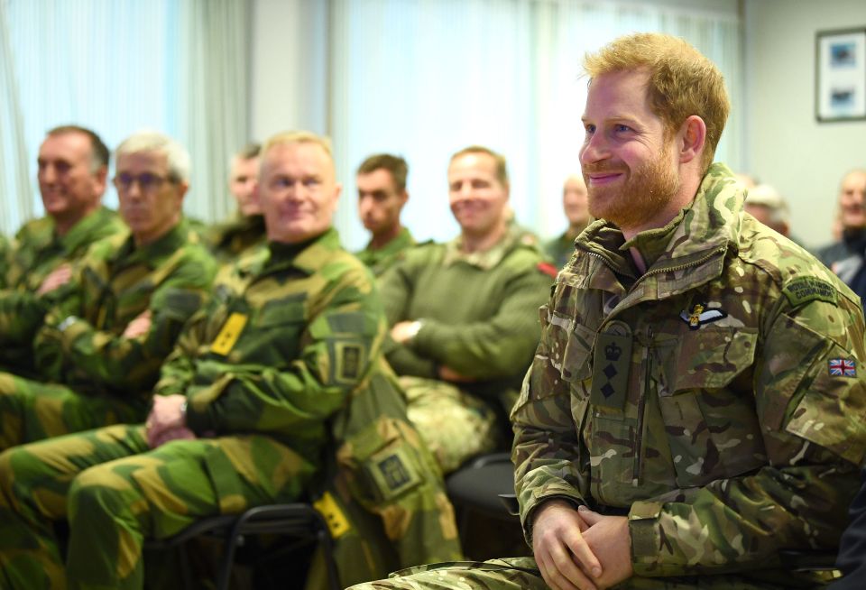  Prince Harry was all smiles during the visit