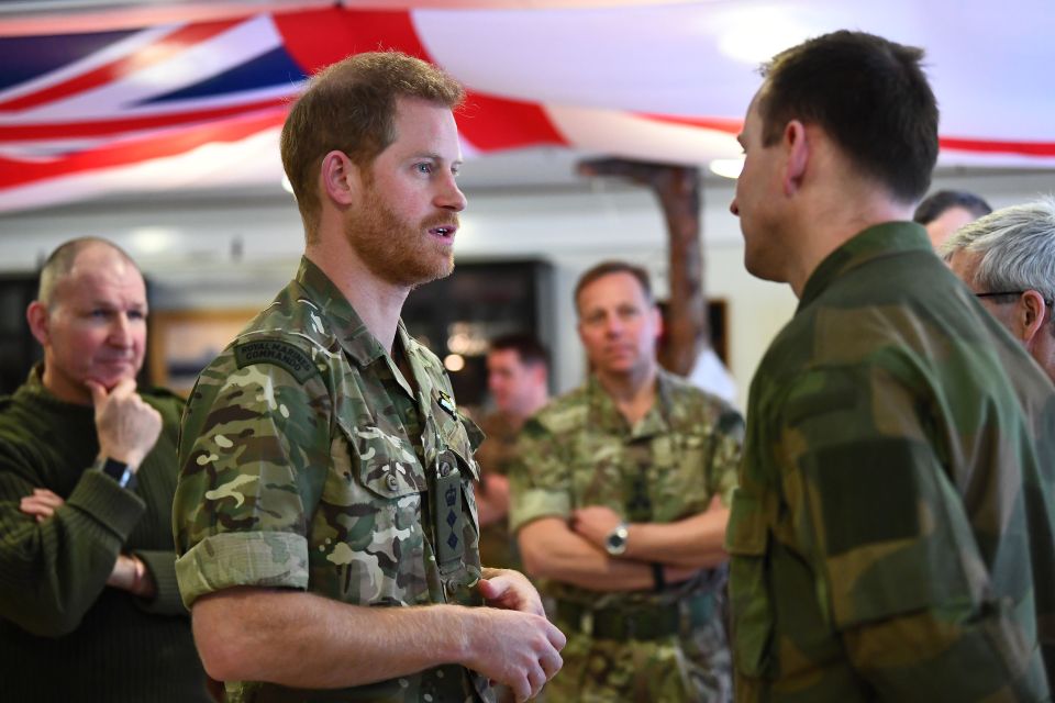  Prince Harry spoke with soldiers stationed at the freezing training grounds