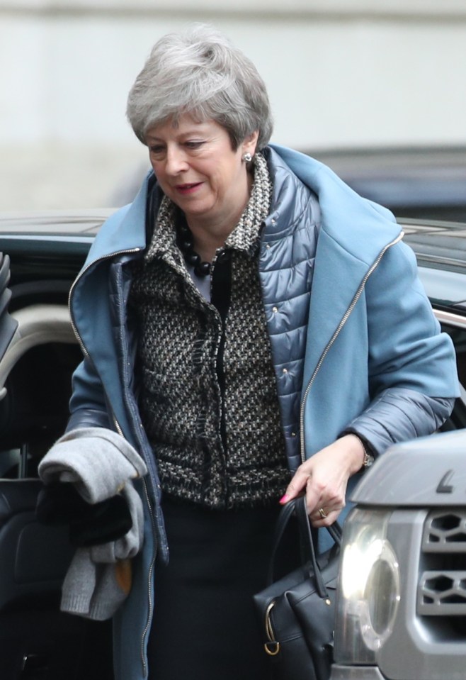  Theresa May has just eight days to save her Brexit deal