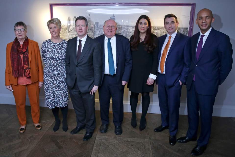 The Independent Group (L-R): Ann Coffey, Angela Smith, Chris Leslie, Mike Gapes, Luciana Berger, Gavin Shuker, and Chuka Umunna 