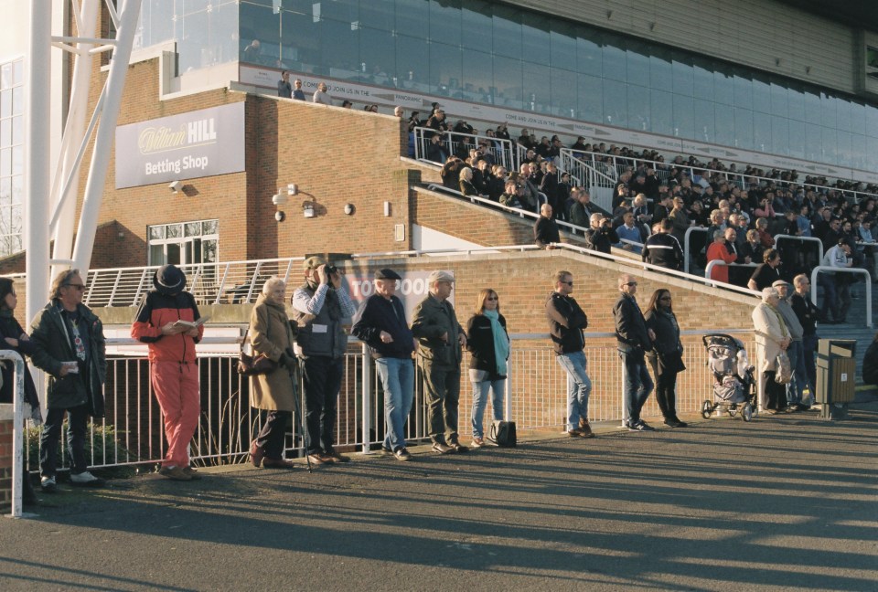  Steve Mullen guides you through Wednesday's racing at Wincanton, Musselburgh, Southwell and Kempton