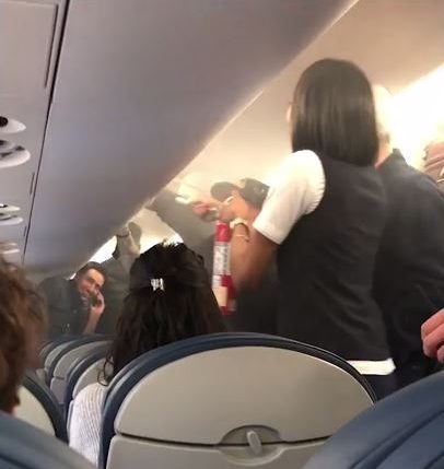  Some passengers screamed after the fire extinguisher was used