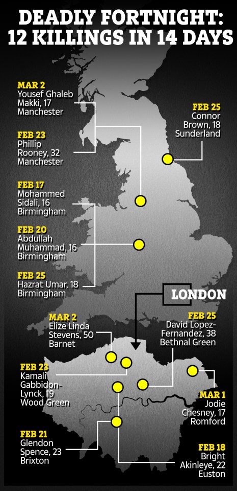  Twelve people, including a 17-year-old girl, were stabbed to death in Britain in just 14 days