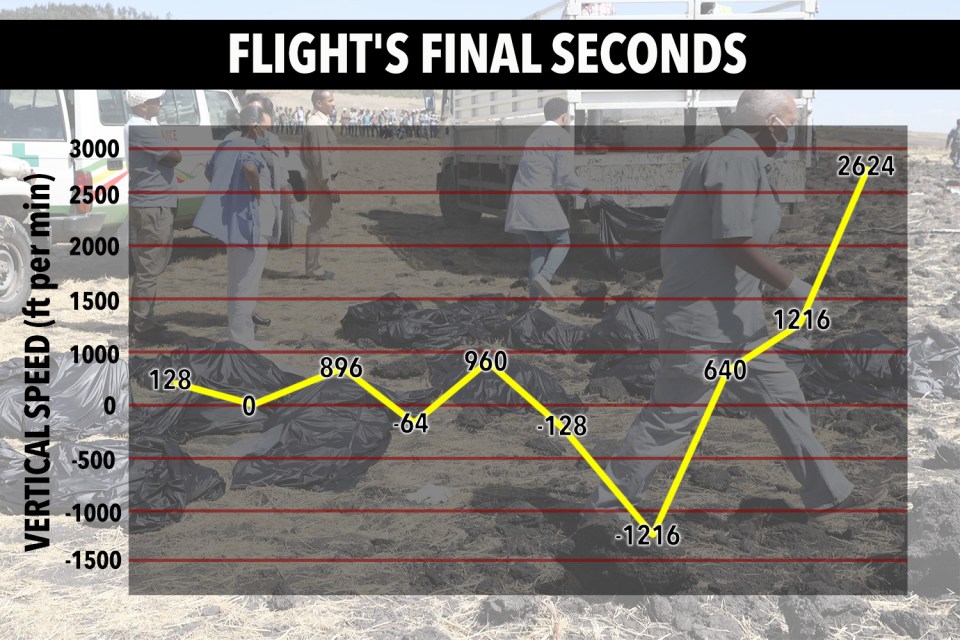 Flight-tracking website flightradar24 showed the plane 'had unstable vertical speed' in the six minutes after take-off