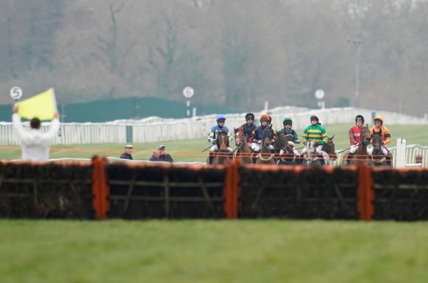 Monday racing tips