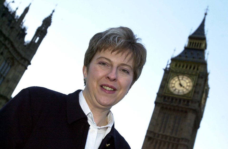  Theresa May, pictured in 2001, wanted to be Prime Minister all her life but she has had three tortured years in Downing Street