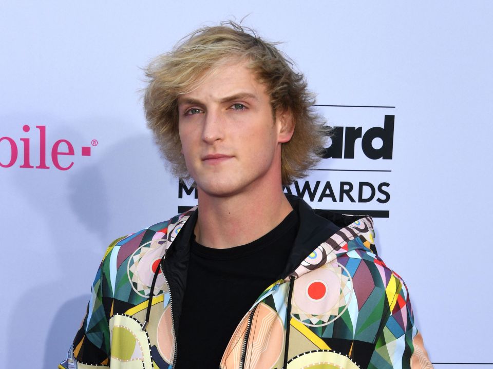  YouTube star Logan Paul has expressed his desire to join the expedition