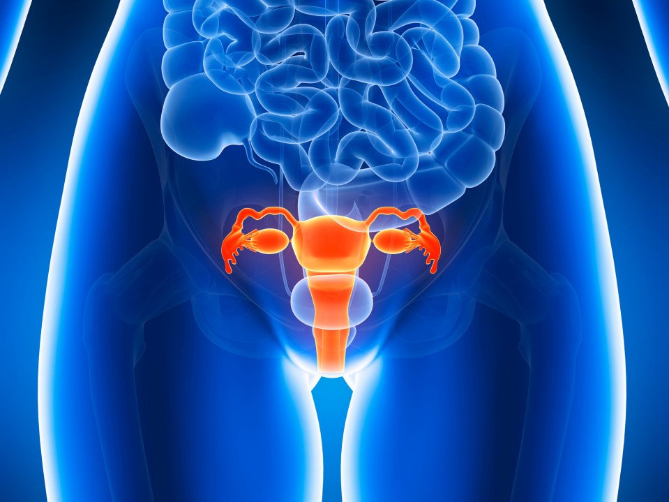  Suddenly heavy/long periods can be a sign of serious conditions like cervical cancer