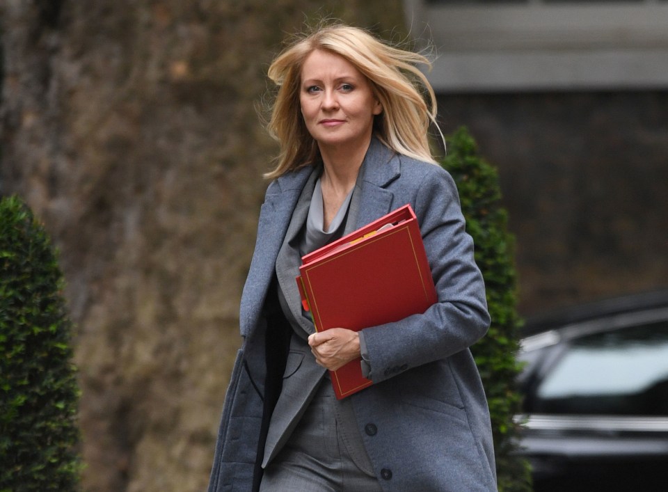 Former Cabinet minister Esther McVey revealed she will 'hold her nose' and vote for the deal if it comes back to the Commons this week