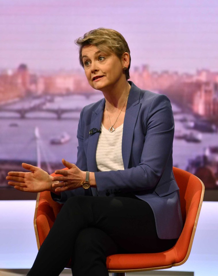  You never voted to be governed by MPs such as Yvette Cooper in the first place