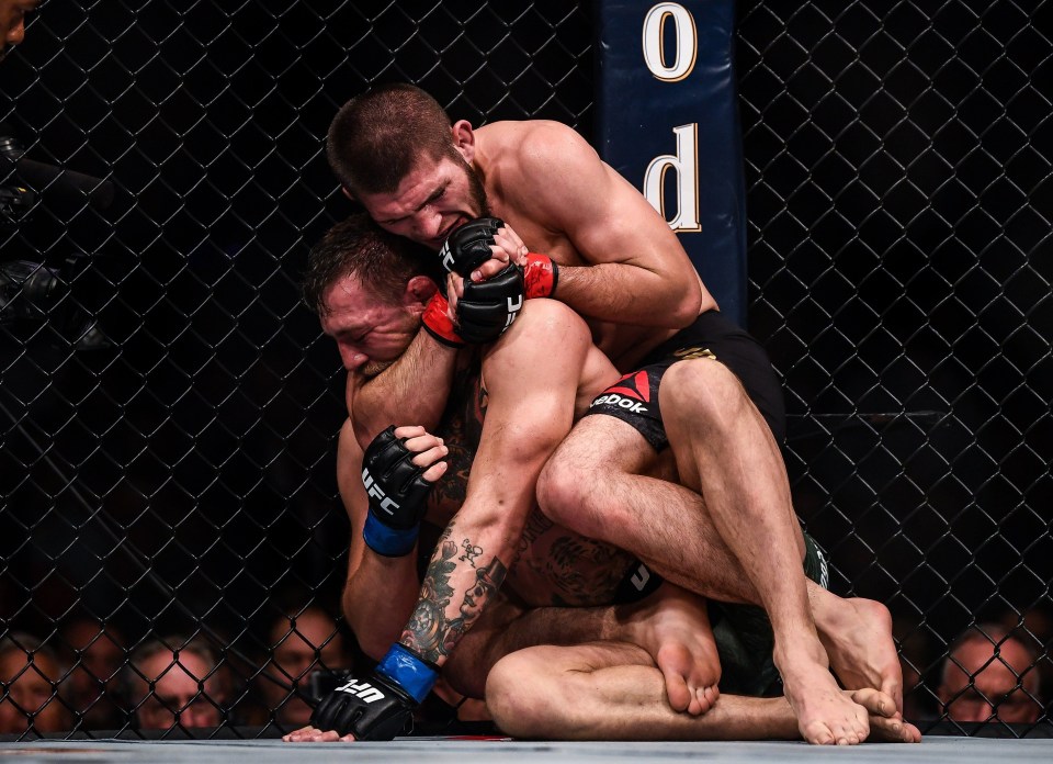 Khabib Nurmagomedov defeated Conor McGregor at UFC 229 in October 