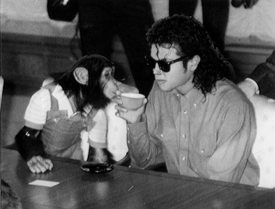  Michael Jackson enjoys a cup of tea with his pet Bubbles at Osaka City Mayoral Hall on September 18, 1987