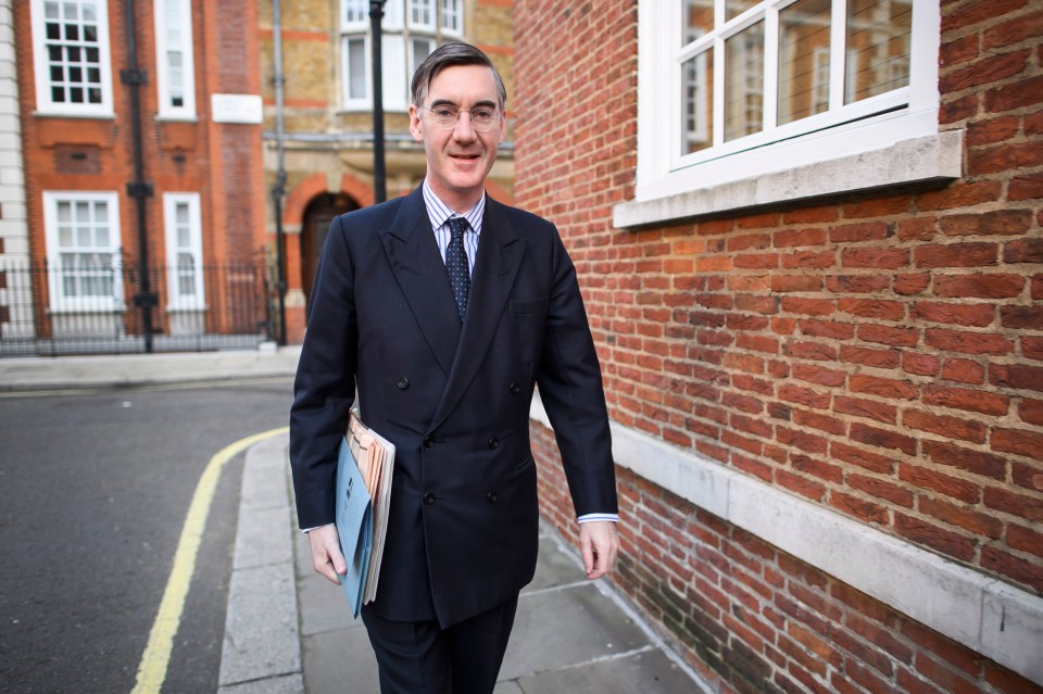  Jacob Rees-Mogg suggested the PM should scrap her Brexit vote if she couldn't bring anything back