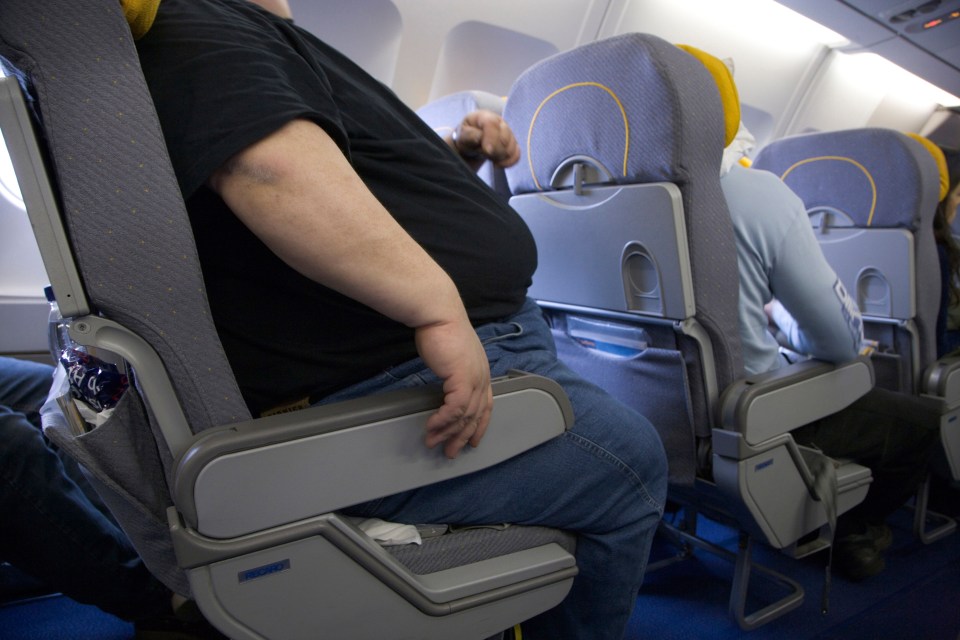  A man has sparked a huge debate after he charged an obese plane passenger £100 for taking up his seat space on his flight