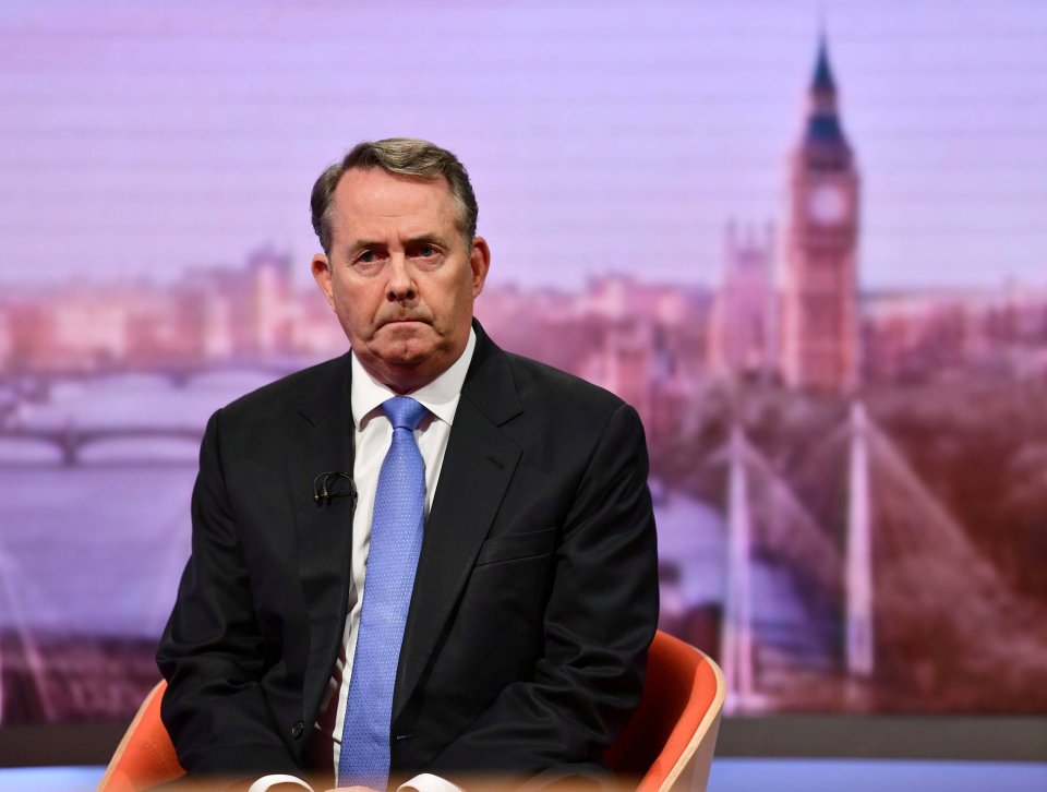  Liam Fox and ERG hardliners need to understand the risks in delaying Brexit