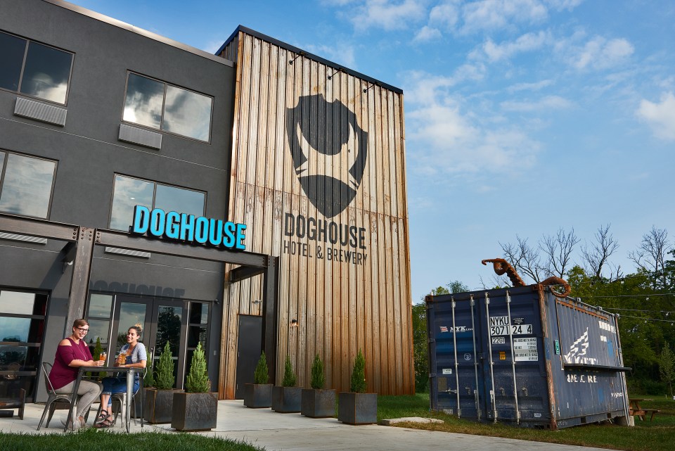  The DogHouse is BrewDog's most ambitious project yet