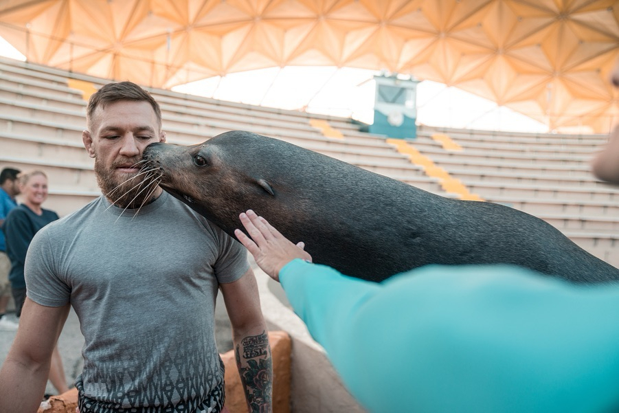  The friendly seal couldn't resist a peck on his cheek