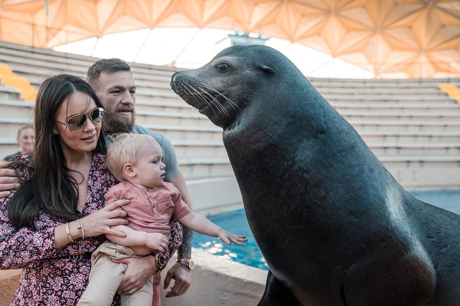  Conor McGregor played the doting dad at a Miami sea aquarium