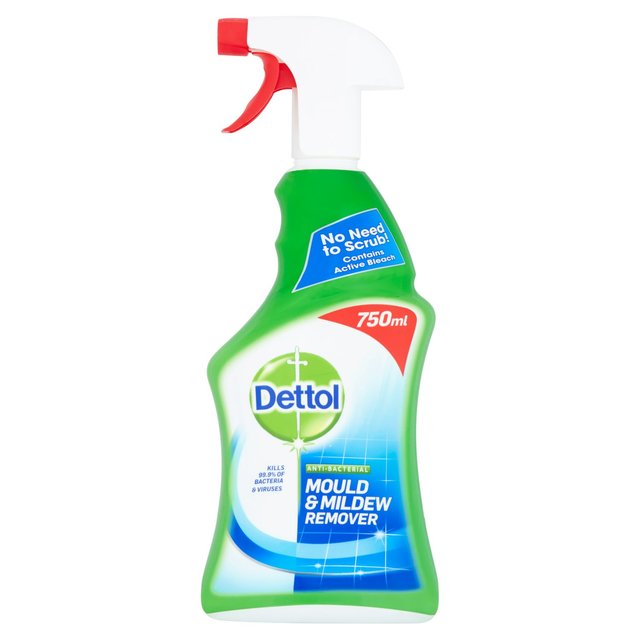  Dettol’s mould and mildew spray from ­Tesco will set you back £3.50