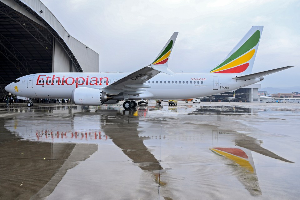 The Ethiopian Airlines Boeing 737 Max 8 that crashed on Sunday