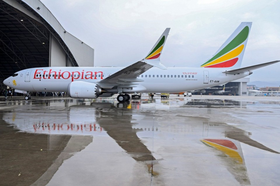 China has ordered its airlines to temporarily ground their Boeing 737 Max 8 planes, pictured is the same type of aircraft that crashed in Ethiopia