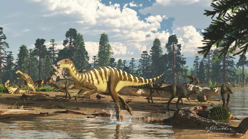  The Galleonosaurus dorisae used to roam the earth 125 million years ago