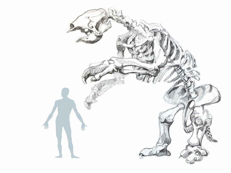  Giant ground sloths were as big as elephants