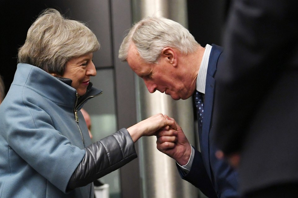  She made a last-minute dash to Strasbourg at 8pm on Monday night and was warmly welcomed by Michel Barnier