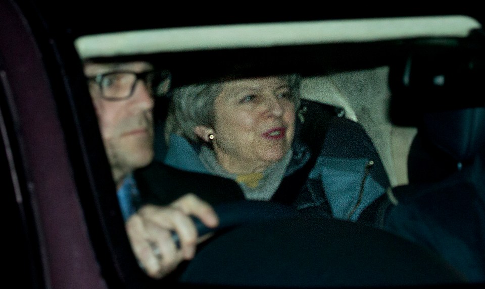  The PM returned to Downing Street optimistically at 2am on Tuesday as ministers hailed her last-minute dash a 'Brexit breakthrough'