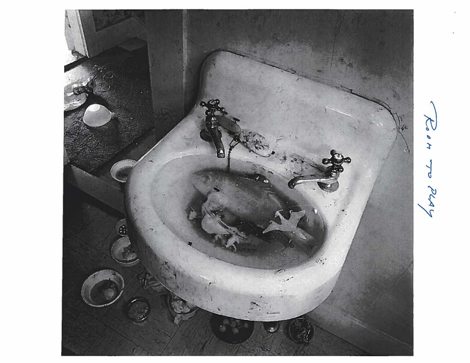  This picture shows a dirty basin containing dinosaur toys