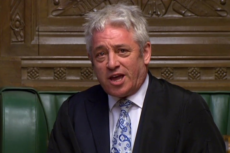  Odious toad John Bercow is the enabler of a smug Remoaner elite trying to strip 17.4million people of the Brexit they won in 2016