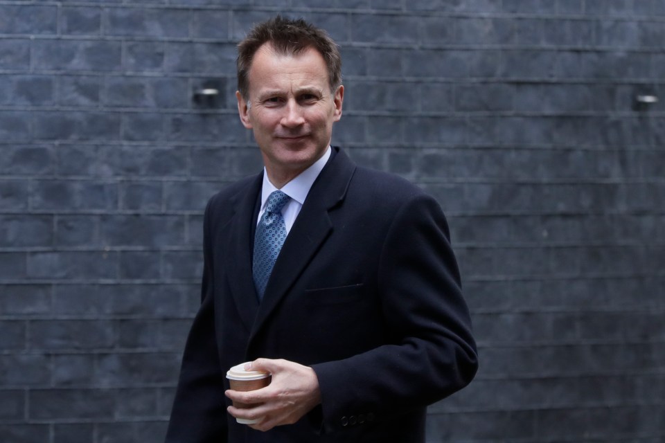  Jeremy Hunt is plotting to take over as Prime Minister