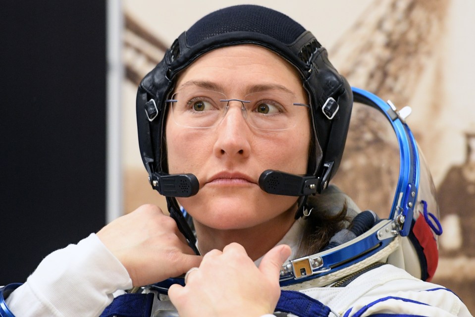  McClain had been scheduled to take part in Nasa's first all-female spacewalk with astronaut Christina Koch (pictured)