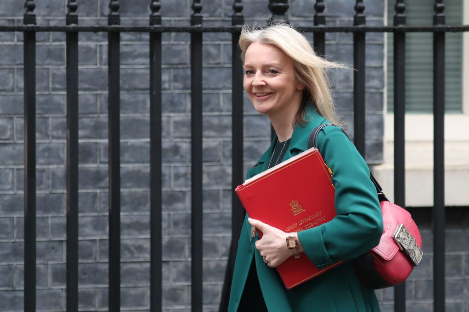  Liz Truss gave her backing to a No Deal Brexit