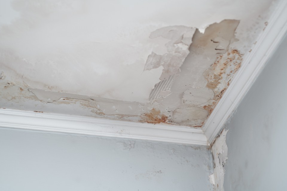  Damp is one of the issues landlords will need to resolve