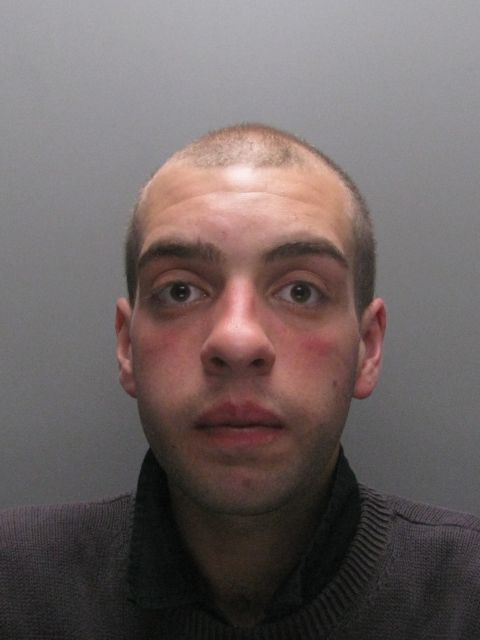  Stuart Levy was jailed for 64 months for admitting the death by dangerous driving