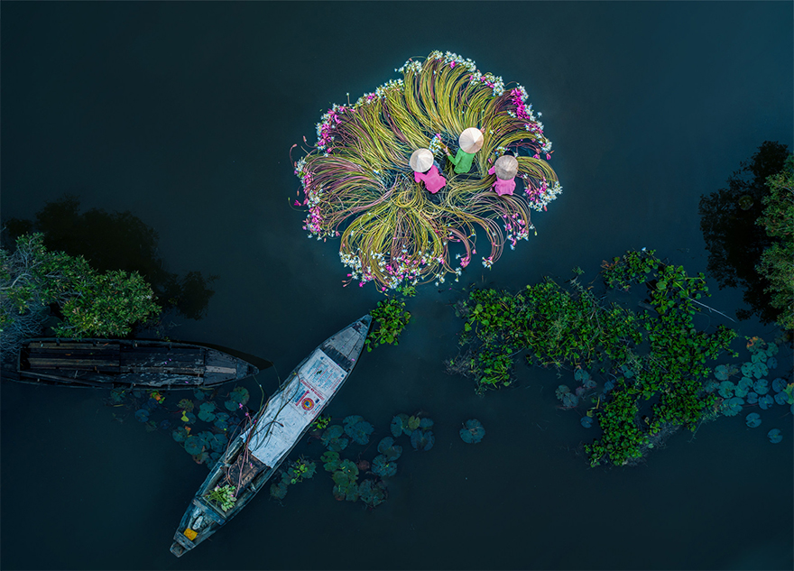 Women are washing gorgeous flowers, and gathering them into a bundle to bring to market. Shot from above, Khanh Phan’s fun category prizewinning photo ‘captures the beautiful simplicity of a serene river scene’, says SkyPixel