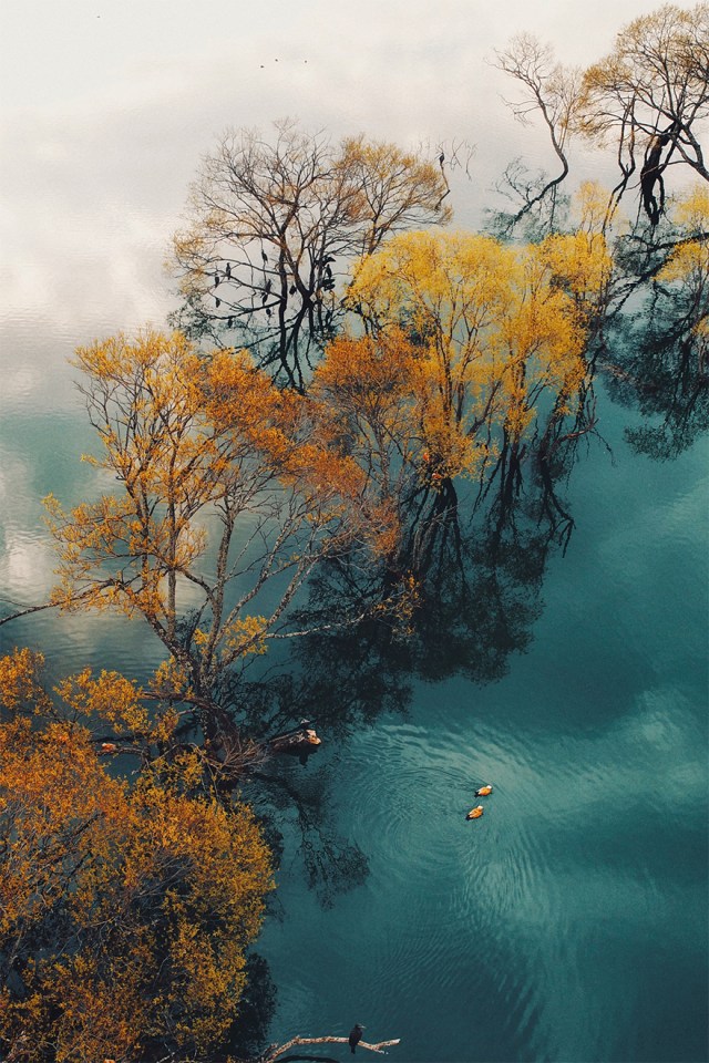 Li Zhenglin Dawood’s people’s choice prizewinning drone picture of ‘various birds and trees in Huanglongtan’ was praised as ‘soulful’ as people enjoyed the ‘lovely contrasts’ and ‘beautiful colour palette’