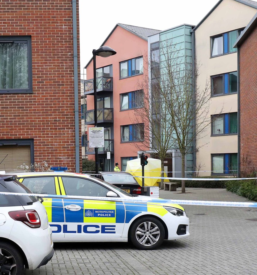 Witnesses described seeing police cars and vans rush to reports of a fight outside a block of flats