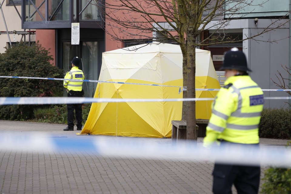 A tent was erected at the scene of the fatal stabbing of a 17-year-old boy