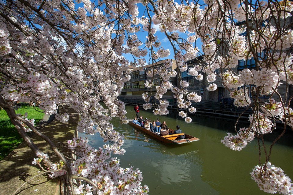  Punters enjoyed the pleasant weather today on the River Cam, in Cambridge