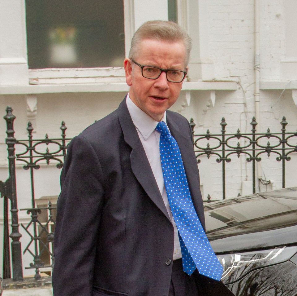  Odds for Michael Gove to take over as PM stand at 3/1