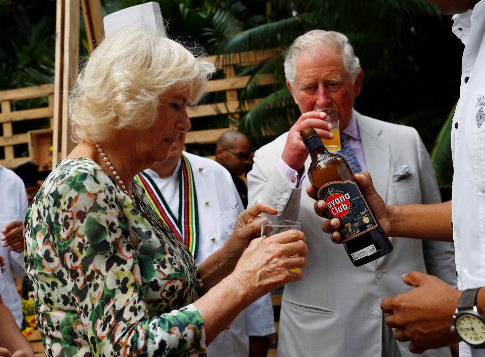  The royal couple made mojitos and even invented their own cocktail