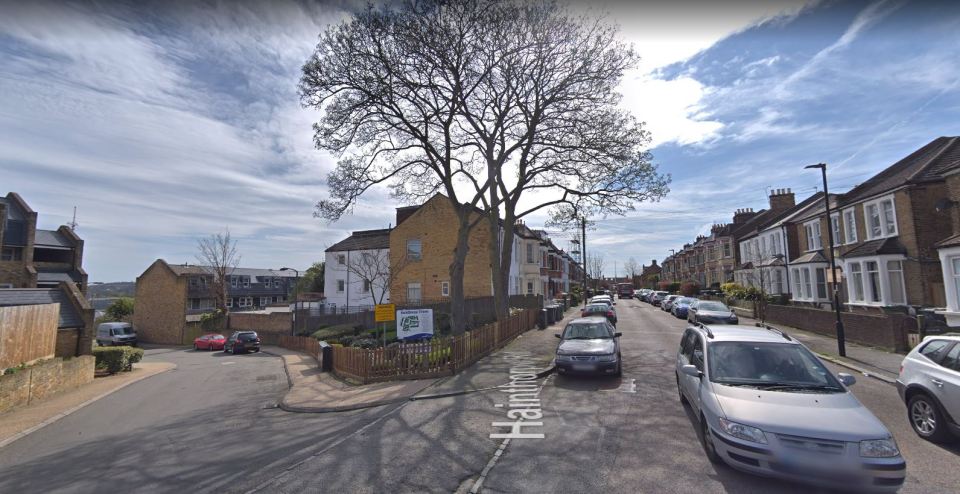  Two men have been arrested on suspicion of murder following a fatal shooting in West Norwood, London