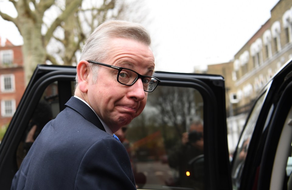  Michael Gove could be a contender to replace the PM