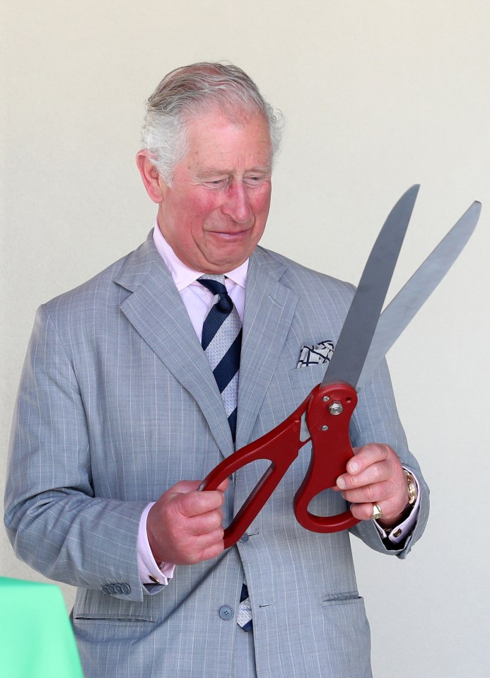 Prince Charles opens a kids botanic park pavilion