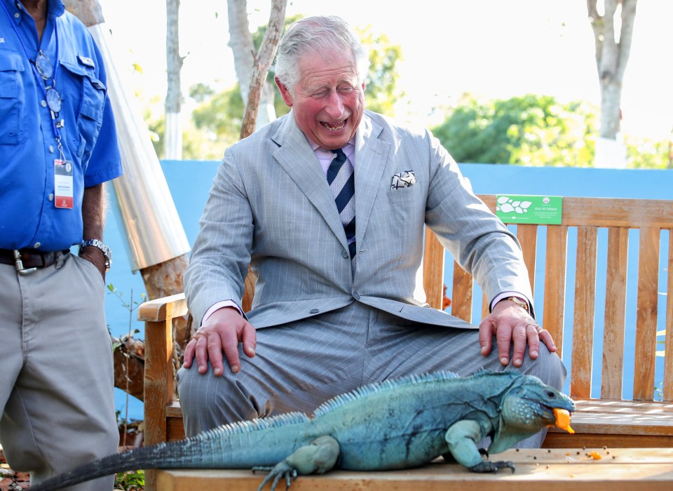 Prince Charles and a blue iguana