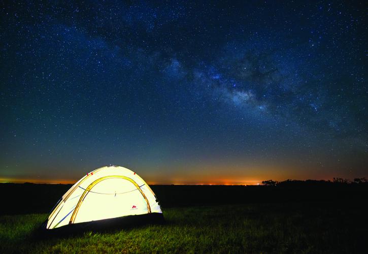  Kissimmee Prairie Park in Florida is perfect for star fans